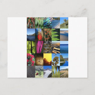 Iconic New Zealand Kiwiana natuur scènes Briefkaart