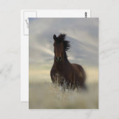 Iconisch Briefkaart (Voorkant / Achterkant)