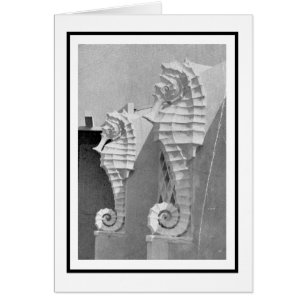 Iconisch Zee paard van Sarasota