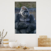 Iconische Silverback Oumbi Poster (Keuken)