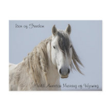 Icoon van de Vrijheid - Briefkaart