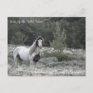 Icoon van het Wilde Westen - Briefkaart