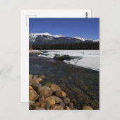 Icy Athabasca Briefkaart (Voorkant / Achterkant)
