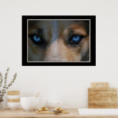 Icy Blue Canine Eyes Poster (Keuken)