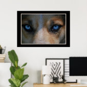 Icy Blue Canine Eyes Poster (Thuiskantoor)