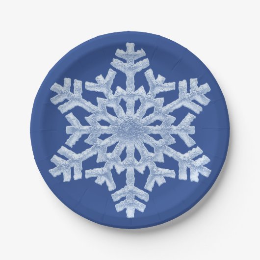 Icy Blue Frozen Snowflake Frosty Winter Kerstmis Papieren Bordje (Voorkant)