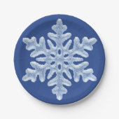 Icy Blue Frozen Snowflake Frosty Winter Kerstmis Papieren Bordje (Voorkant)