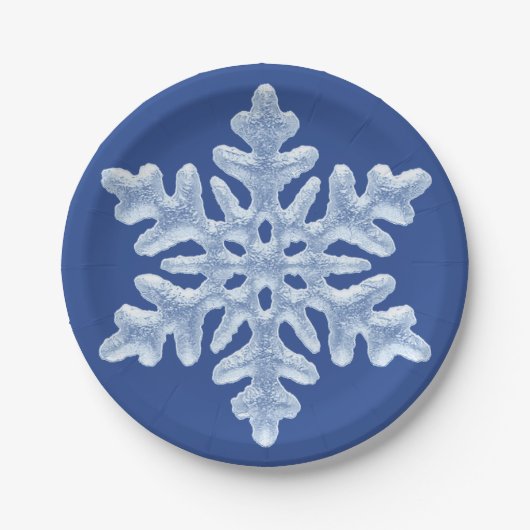 Icy Blue Frozen Snowflake Frosty Winter Kerstmis Papieren Bordje (Voorkant)