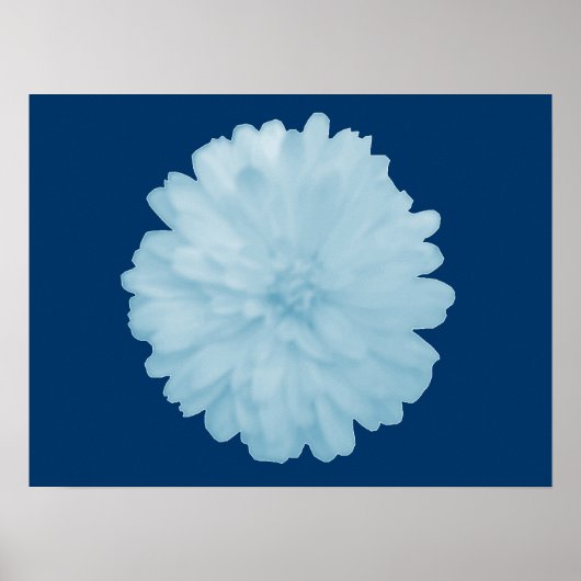 Icy Blue Marigold Poster (Voorkant)