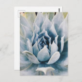 Icy blue succulent briefkaart (Voorkant / Achterkant)