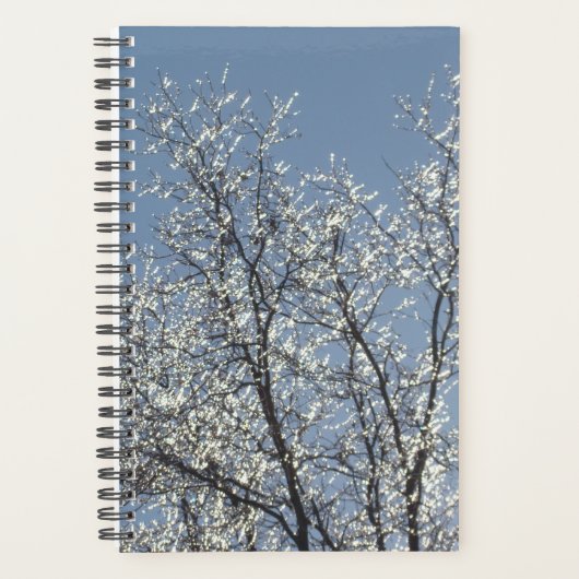 Icy Branches in Winter Blue Sky Planner (Voorkant)