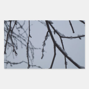 Icy Branches Winter Natuur Rechthoekige Sticker