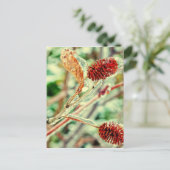 Icy Briefkaart (Staand voorkant)