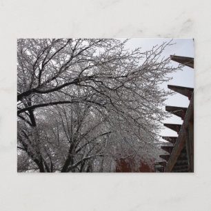 Icy Delmar Loop Briefkaart
