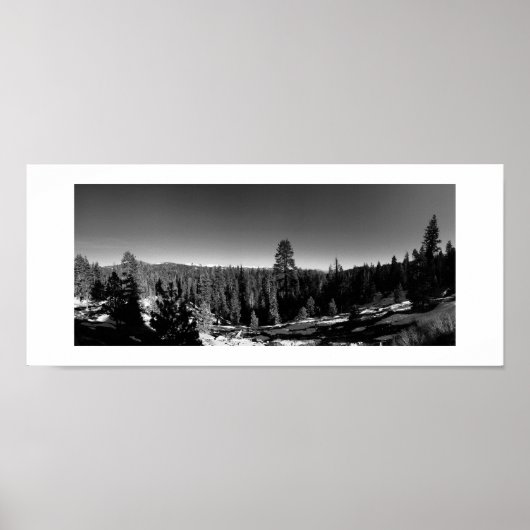 Icy Forest Panorama Zwart-wit Fotografie Poster (Voorkant)