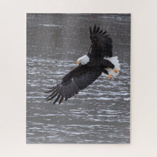 Icy landing: Kale adelaar puzzel