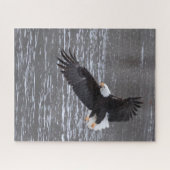 Icy landing: Kale adelaar puzzel Legpuzzel (Horizontaal)