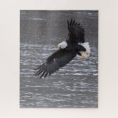 Icy Landing : Puzzle d'aigle chauve (Vertical)