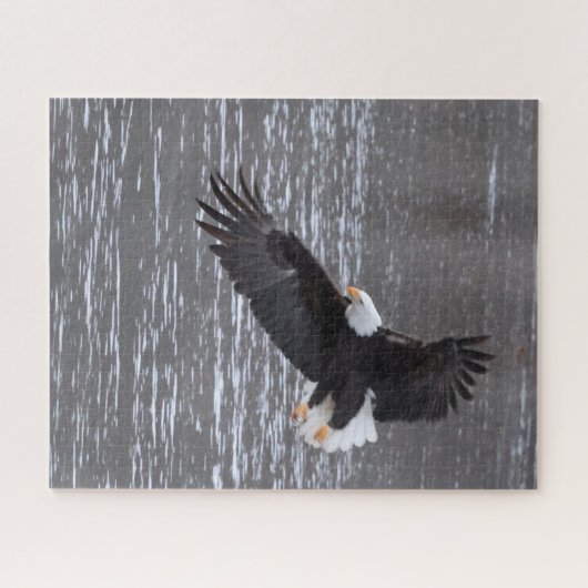 Icy Landing : Puzzle d'aigle chauve (Horizontal)