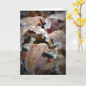 Icy Leaves Kaart (Gele Bloem)