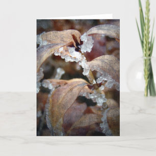Icy Leaves Kaart