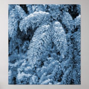 Icy-pijnboom Poster