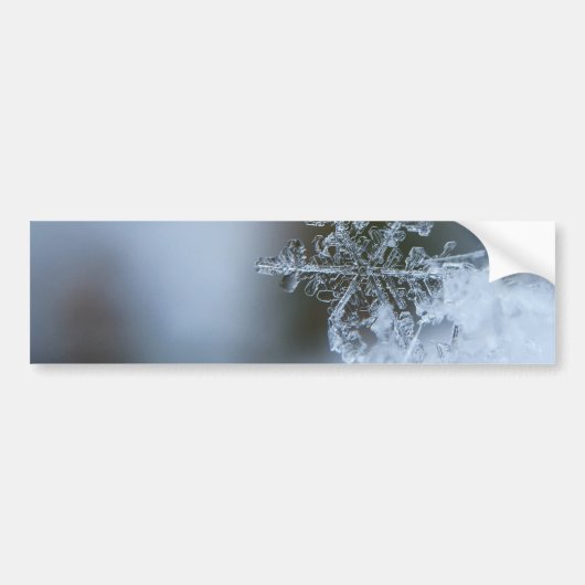 Icy Snowflake Bumpersticker (Voorkant)