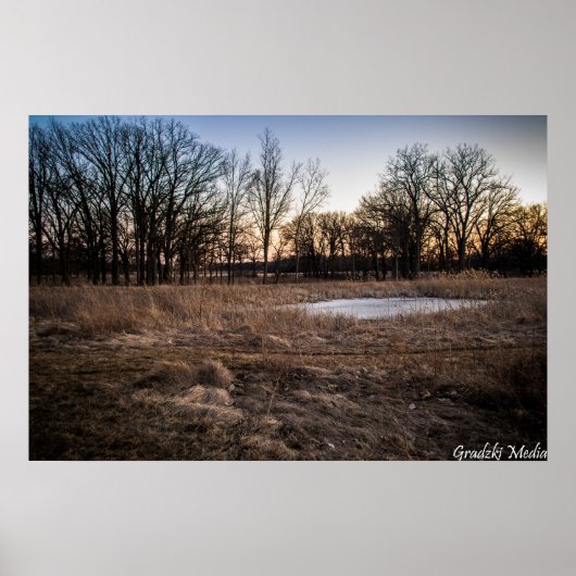 Icy Spring Poster (Voorkant)