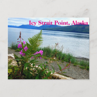 Icy Strait Point, Alaska Briefkaart