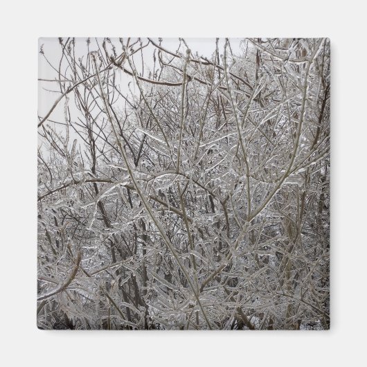 Icy Twigs Magneet (Voorkant)