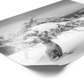 Icy twisted pine Tree foto print Afdruk (Hoek)