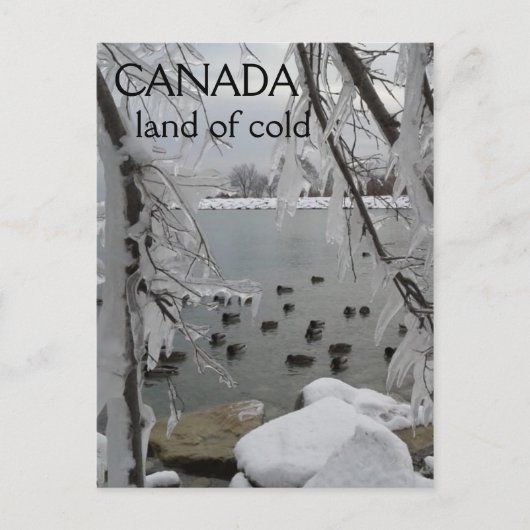 Icy Winter Canada Land of Cold Briefkaart (Voorkant)