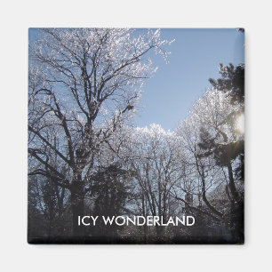 ICY WONDERLAND 4 seizoenen magnet Magneet