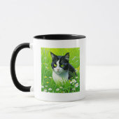 I'd Rather be at Home with my Cat Mok (Links)