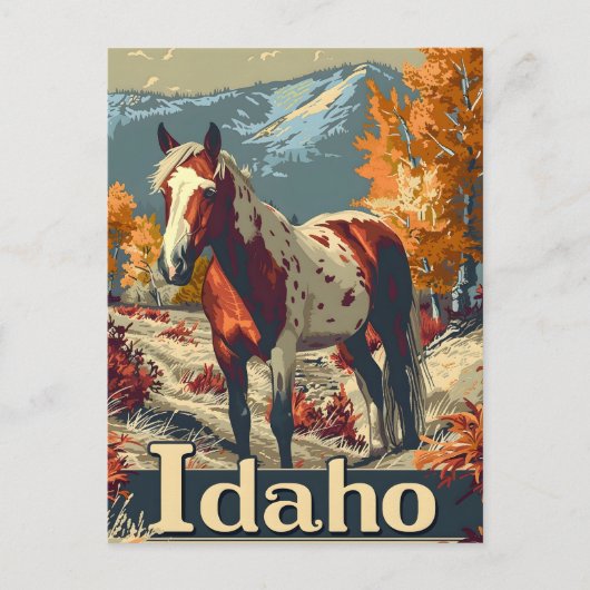 Idaho Appaloosa paard Briefkaart (Voorkant)