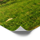 Idaho Double Rainbow Poster (Hoek)