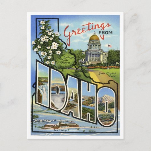 Idaho Greetings uit de VS Briefkaart (Voorkant)