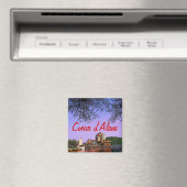 Idaho Magnet Magneet (Insitu (Vaatwasser))