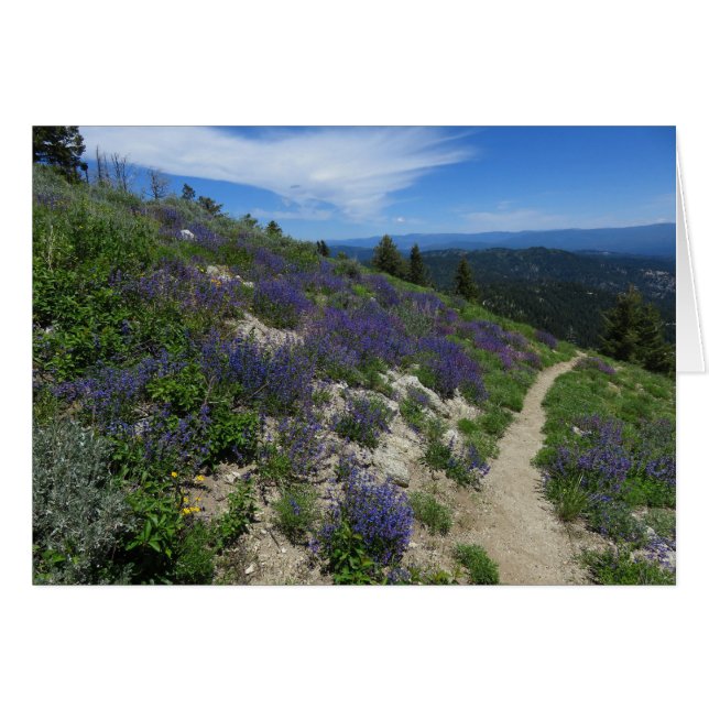 Idaho Mountain Hiking Trail (Voorkant Horizontaal)
