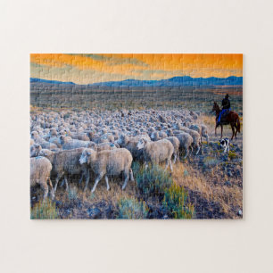 Idaho Schapenbegrazing. Legpuzzel