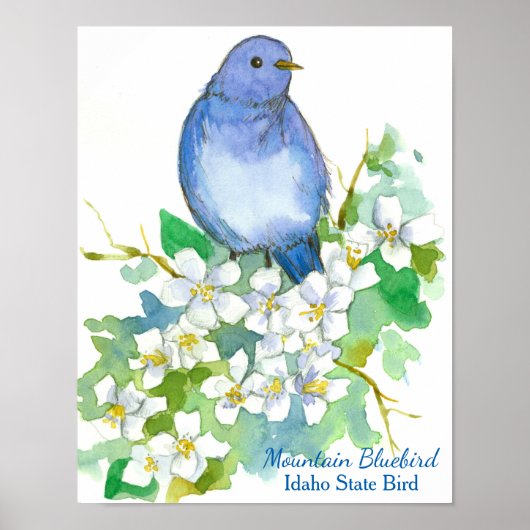Idaho State Bird Mountain Bluebird Poster (Voorkant)