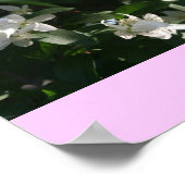 Idaho State Flower, de Syringa Poster (Hoek)