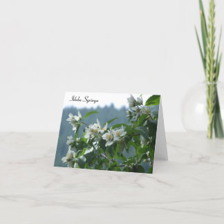 Idaho Syringa - Lege Kaart