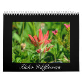 Idaho Wildflower Calendar Kalender (Hoes)