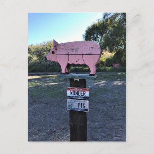 Idaho Wonder Pig, Funny Briefkaart