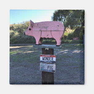 Idaho Wonder Pig, Funny Magneet