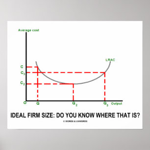 Ideal Firm Size: Weet je waar dat is? Poster