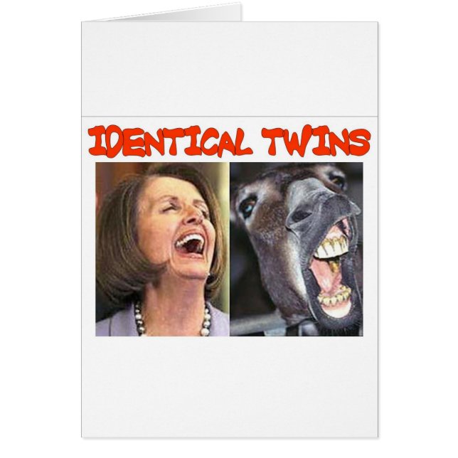 IDENTIEKE TWINS (Voorkant)