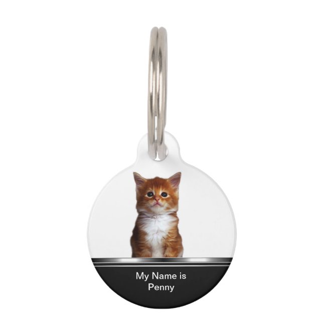 Identification de l'étiquette de chat domestique (Devant)
