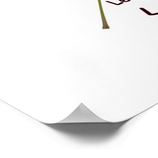 Identifier Poison Ivy Poster (Coin)